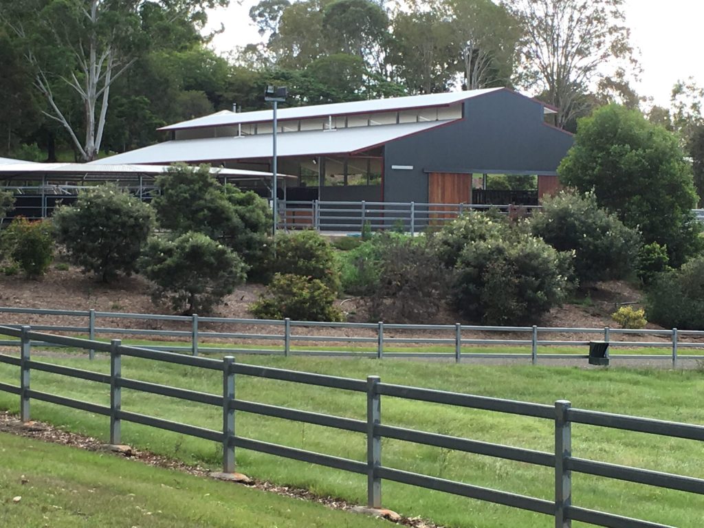 Dairy shed builder - steel shed for livestock