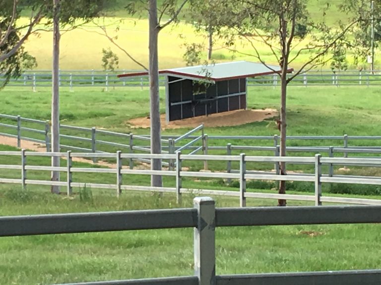 horse shelter builder - rural steel shed
